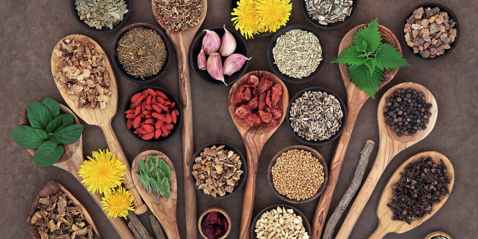 Collection of herbal supplements 