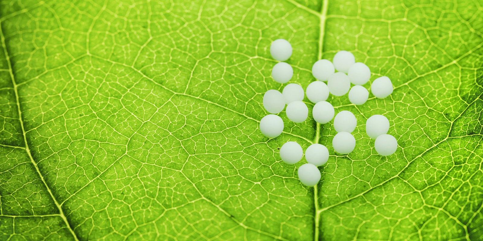 Homeopathic collection of supplements