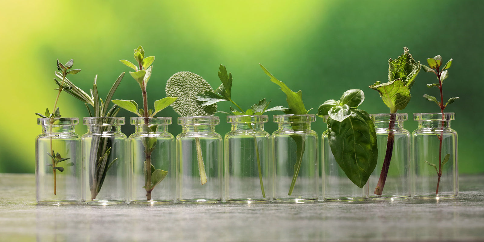 Journey Into Mind, Body and Soul Health - OC integrated health clinic