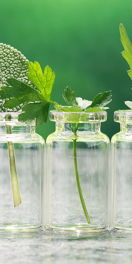 Journey Into Mind, Body and Soul Health - OC integrated health clinic